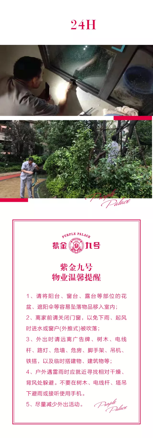 管家婆蓝月亮精选料官网