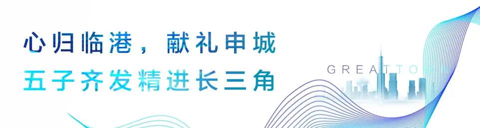 管家婆蓝月亮精选料官网